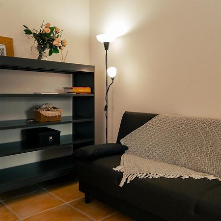 La Terrazza Sul Reno - In Pieno Centro-Due Passi Da Villa Chiara - Comodo Unipol Arena Casalecchio Di Reno Bagian luar foto
